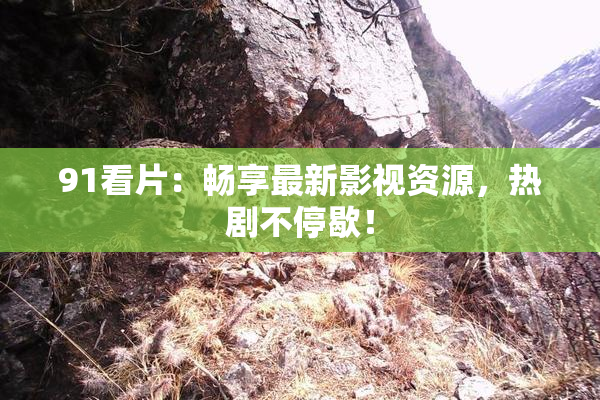 91看片：畅享最新影视资源，热剧不停歇！