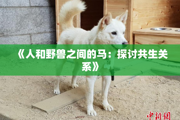 《人和野兽之间的马：探讨共生关系》