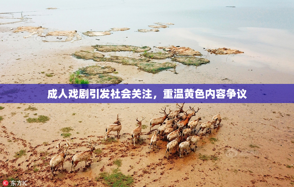 成人戏剧引发社会关注，重温黄色内容争议