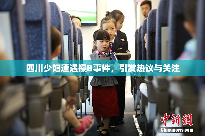 四川少妇遭遇搡B事件，引发热议与关注