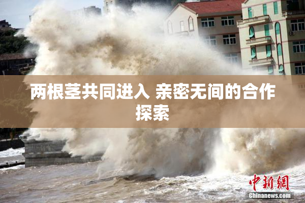 两根茎共同进入 亲密无间的合作探索