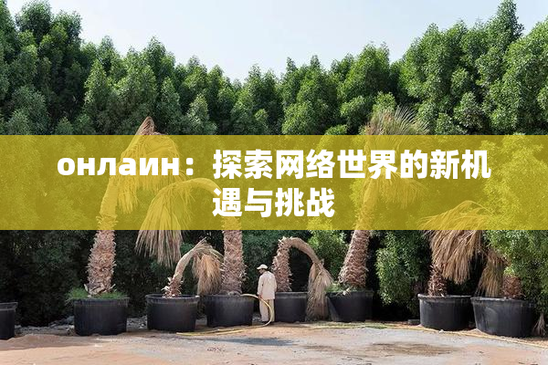 онлаин：探索网络世界的新机遇与挑战