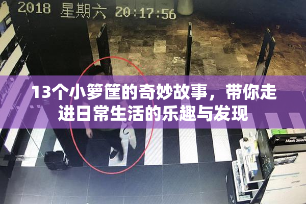 13个小箩筐的奇妙故事，带你走进日常生活的乐趣与发现