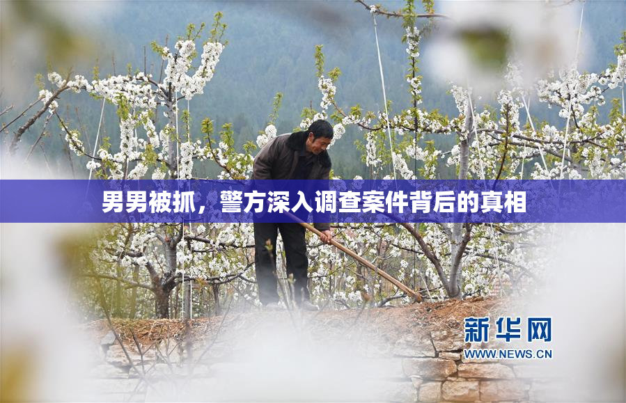男男被抓，警方深入调查案件背后的真相