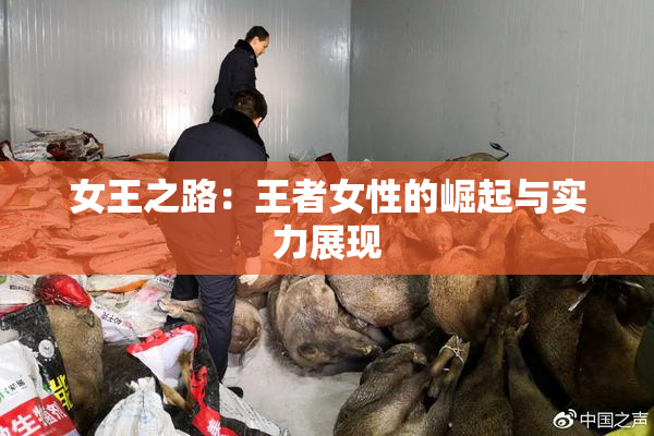 女王之路：王者女性的崛起与实力展现