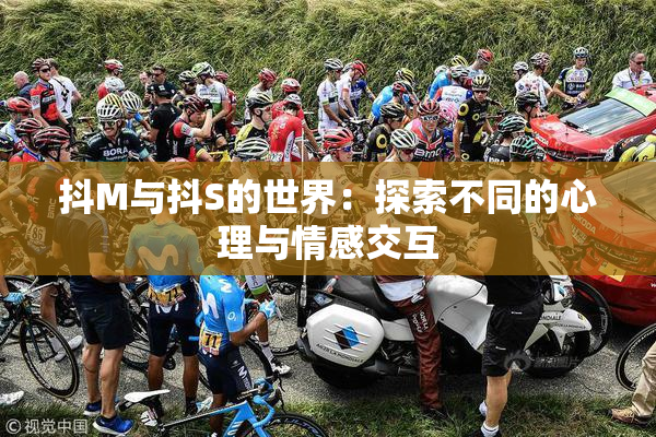 抖M与抖S的世界：探索不同的心理与情感交互