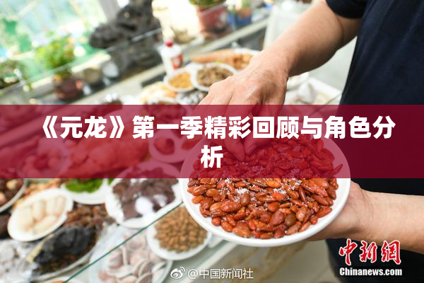 《元龙》第一季精彩回顾与角色分析