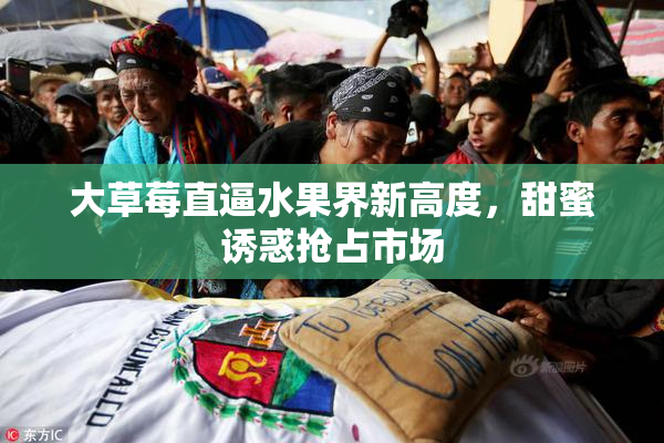大草莓直逼水果界新高度，甜蜜诱惑抢占市场