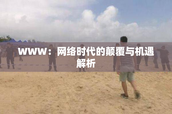 WWW：网络时代的颠覆与机遇解析