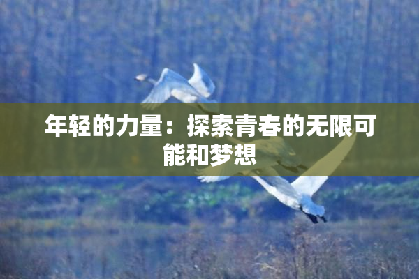 年轻的力量：探索青春的无限可能和梦想
