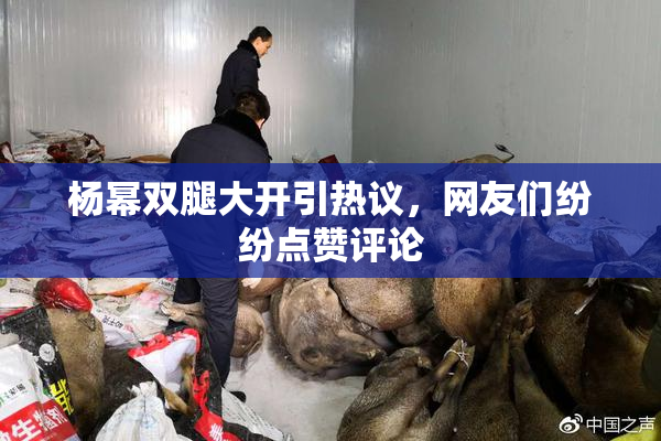 杨幂双腿大开引热议，网友们纷纷点赞评论