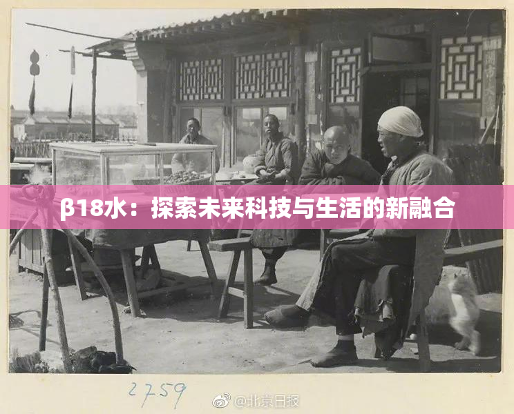 β18水：探索未来科技与生活的新融合