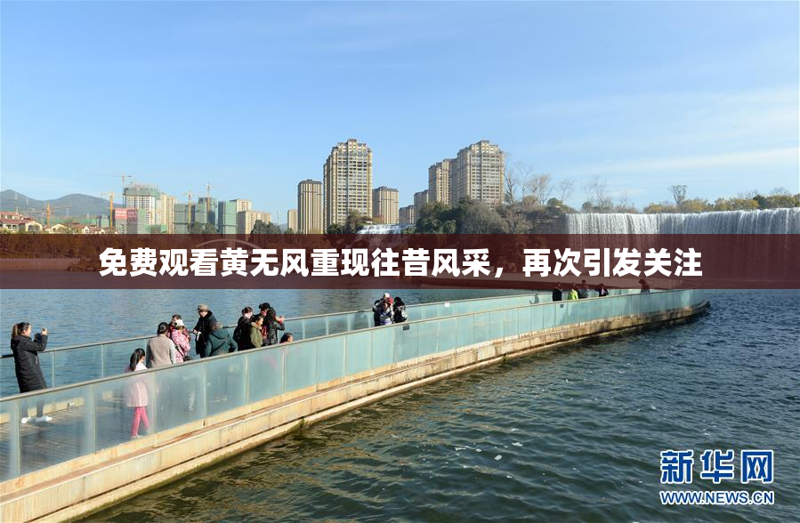 免费观看黄无风重现往昔风采，再次引发关注