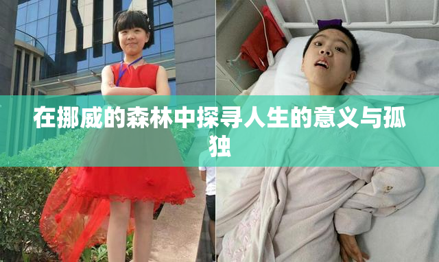 在挪威的森林中探寻人生的意义与孤独