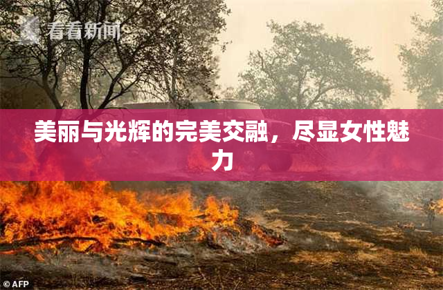 美丽与光辉的完美交融，尽显女性魅力