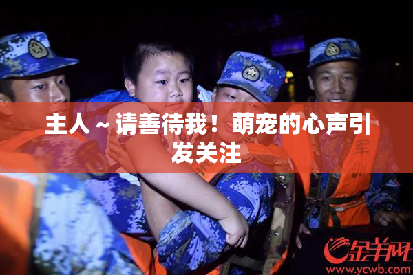 主人～请善待我！萌宠的心声引发关注
