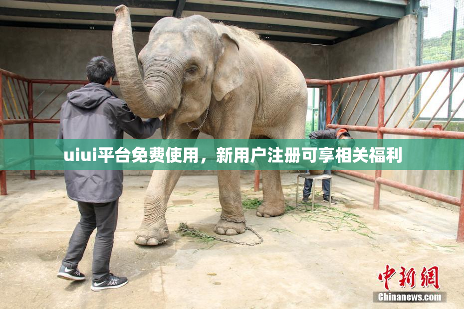 uiui平台免费使用，新用户注册可享相关福利