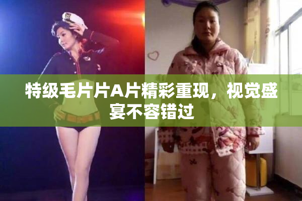 特级毛片片A片精彩重现，视觉盛宴不容错过