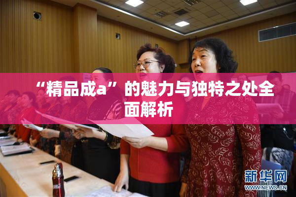 “精品成a”的魅力与独特之处全面解析
