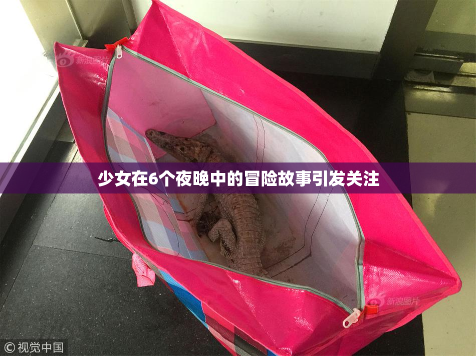 少女在6个夜晚中的冒险故事引发关注