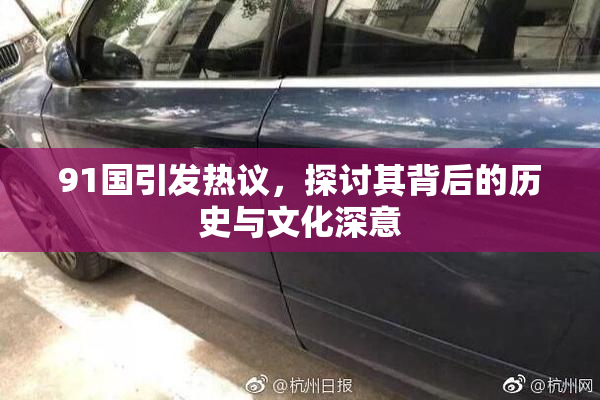 91国引发热议，探讨其背后的历史与文化深意